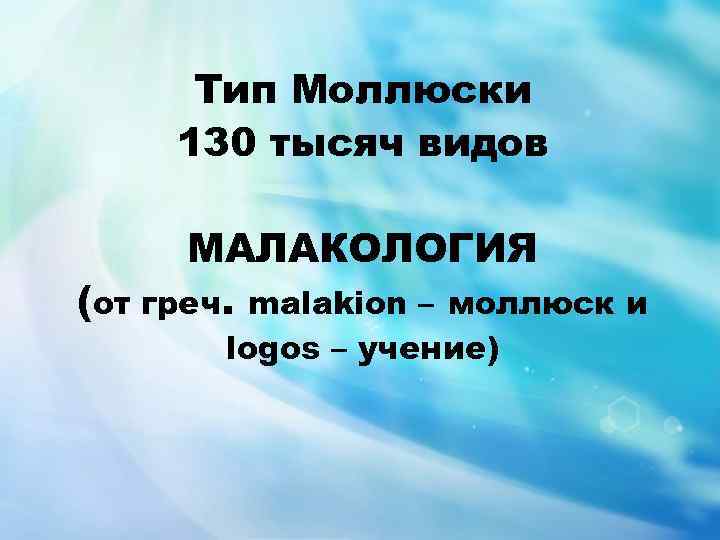 Тип Моллюски 130 тысяч видов МАЛАКОЛОГИЯ (от греч. malakion – моллюск и logos –