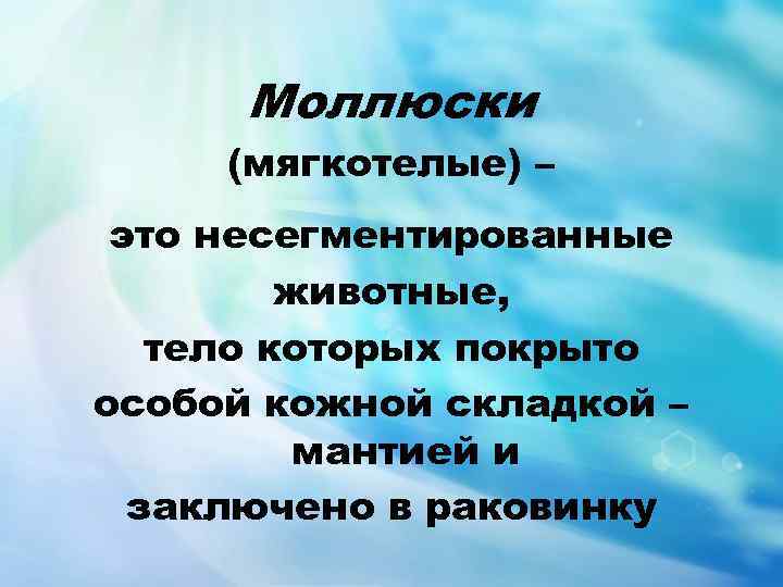 Моллюски (мягкотелые) – это несегментированные животные, тело которых покрыто особой кожной складкой – мантией