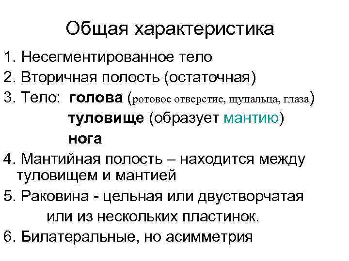 Общая характеристика 1. Несегментированное тело 2. Вторичная полость (остаточная) 3. Тело: голова (ротовое отверстие,
