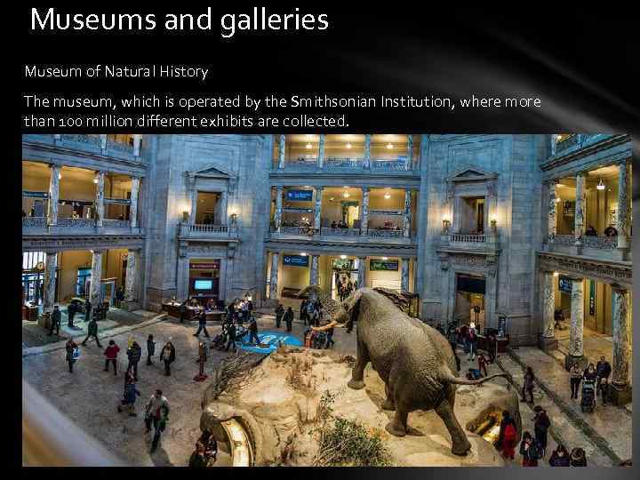 Museums and galleries Museum of Natural History The museum, which is operated by the