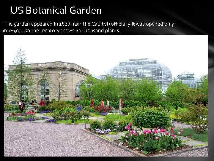 US Botanical Garden The garden appeared in 1820 near the Capitol (officially it was