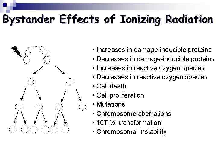 Bystander Effects of Ionizing Radiation • Increases in damage-inducible proteins • Decreases in damage-inducible