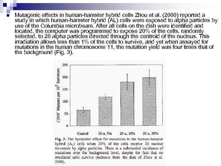 n Mutagenic effects in human-hamster hybrid cells Zhou et al. (2000) reported a study