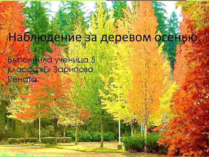 Выполнила ученица 5 класса «Г» Зарипова Рената. 