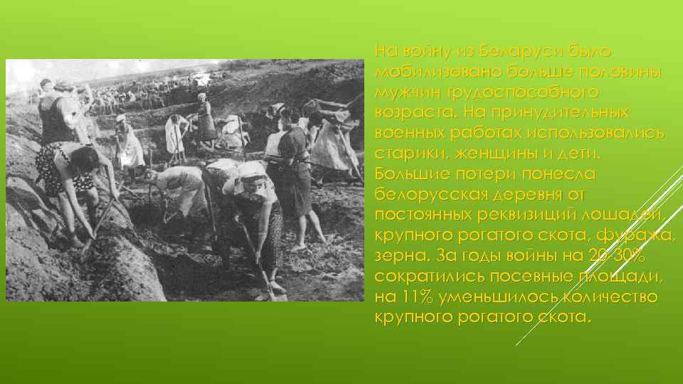 На войну из Беларуси было мобилизовано больше половины мужчин трудоспособного возраста. На принудительных военных