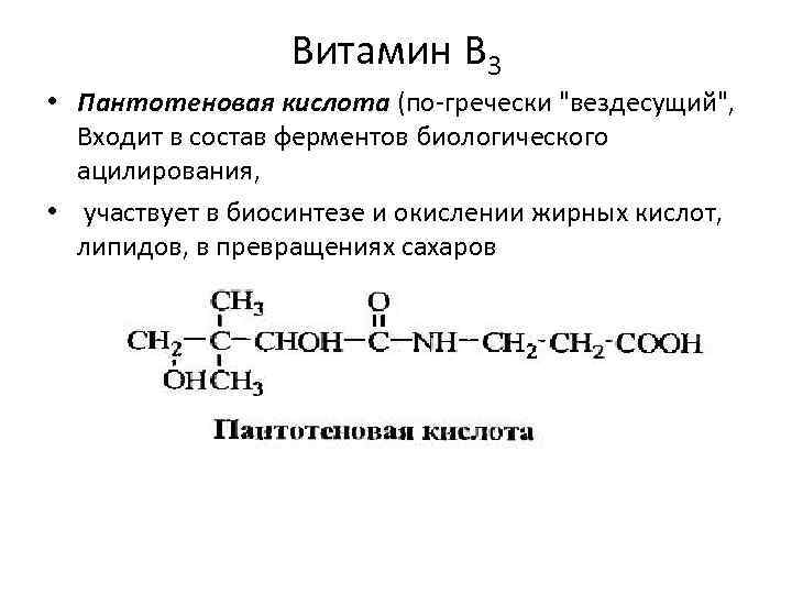 Витамин В 3 • Пантотеновая кислота (по гречески 