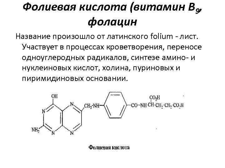 Фолиевая кислота (витамин В 9, фолацин Название произошло от латинского folium лист. Участвует в