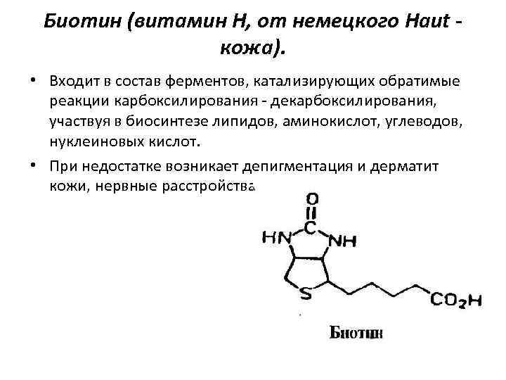 Биотин (витамин Н, от немецкого Haut кожа). • Входит в состав ферментов, катализирующих обратимые
