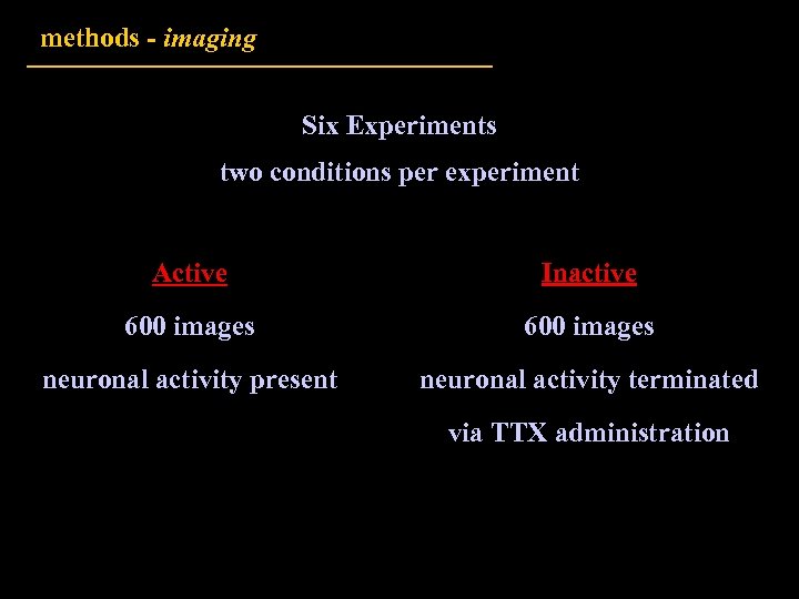 methods - imaging Six Experiments two conditions per experiment Active Inactive 600 images neuronal
