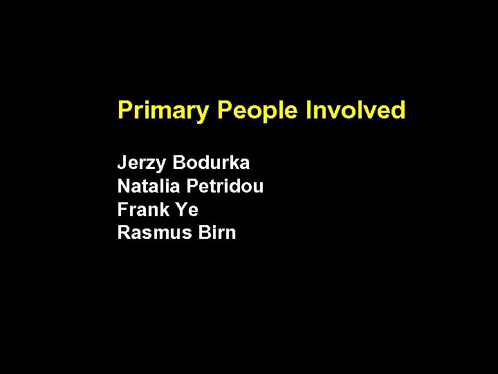 Primary People Involved Jerzy Bodurka Natalia Petridou Frank Ye Rasmus Birn 