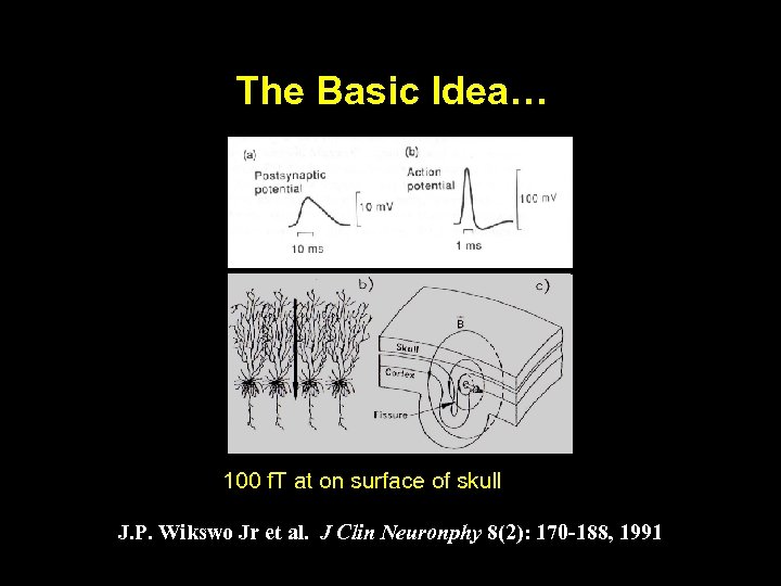 The Basic Idea… 100 f. T at on surface of skull J. P. Wikswo