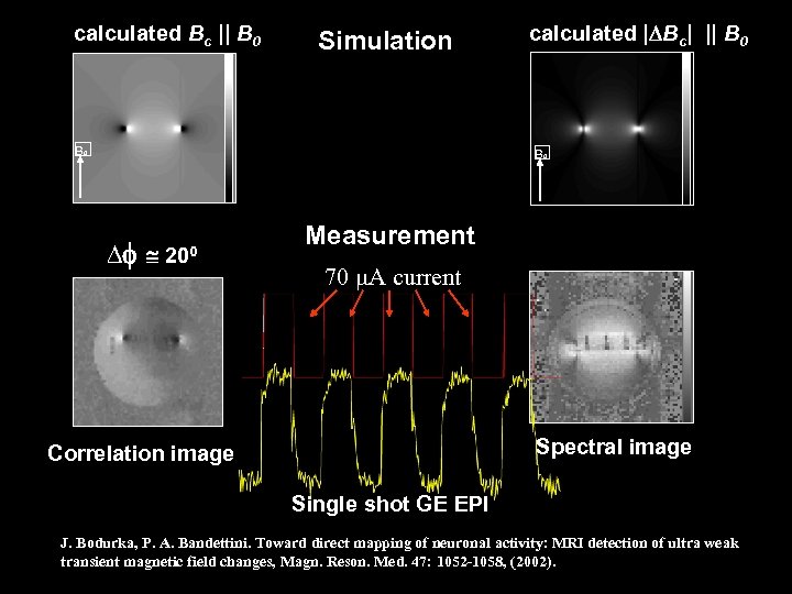 calculated Bc || B 0 Simulation B 0 calculated | Bc| || B 0