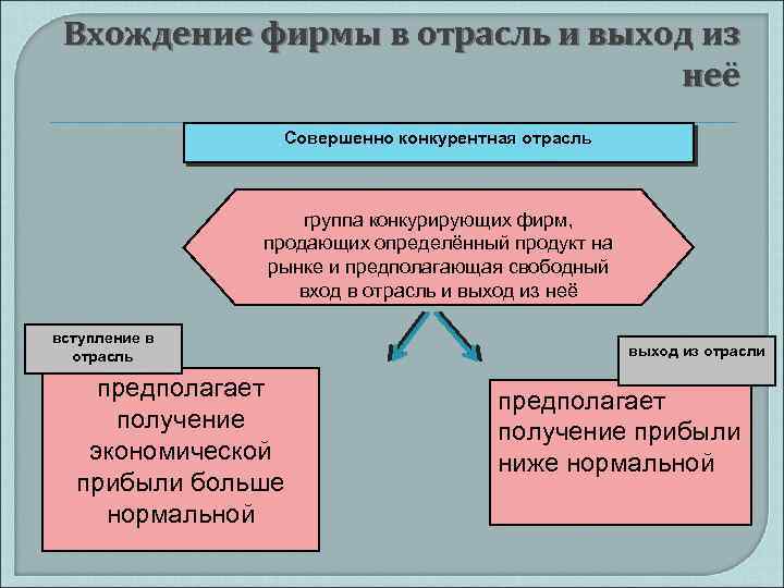 Вхождение фирмы в отрасль и выход из неё Совершенно конкурентная отрасль группа конкурирующих фирм,