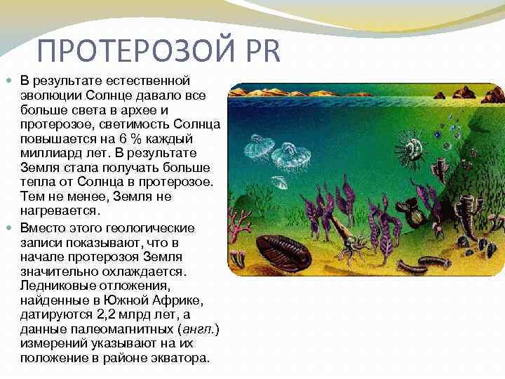 ПРОТЕРОЗОЙ PR В результате естественной эволюции Солнце давало все больше света в архее и