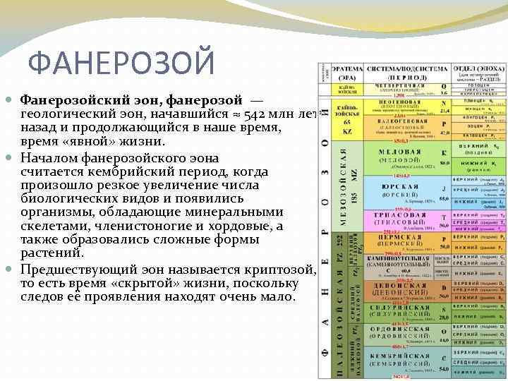 ФАНЕРОЗОЙ Фанерозойский эон, фанерозой — геологический эон, начавшийся ≈ 542 млн лет назад и