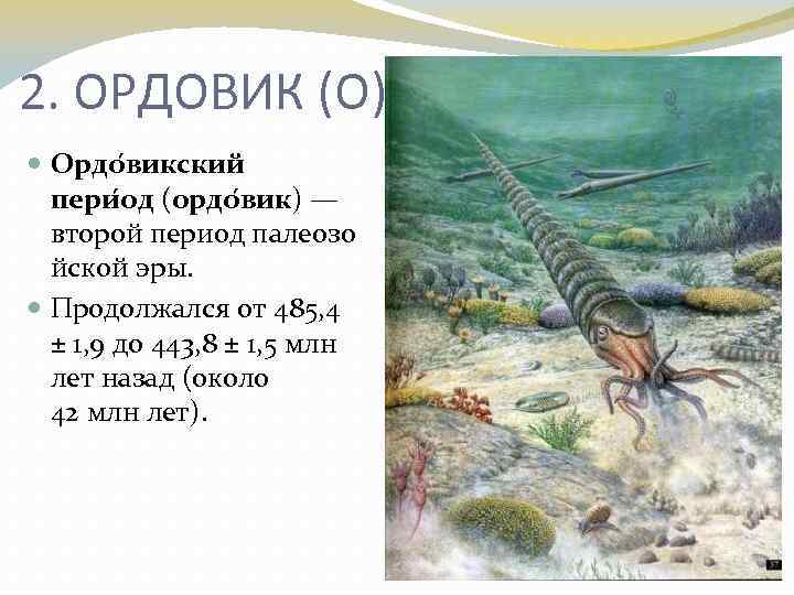 2. ОРДОВИК (О) Ордо викский пери од (ордо вик) — второй период палеозо йской