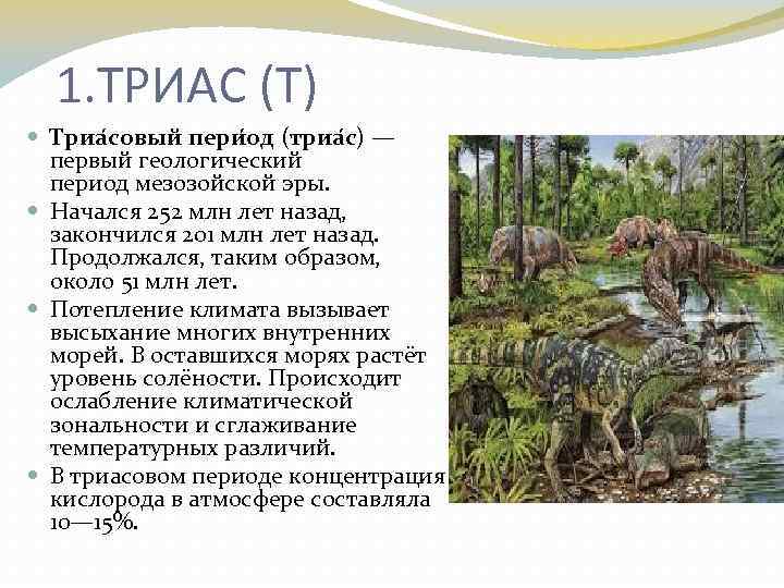 Периоды мезозойской эры. Триас период кратко. Геологические события мезозойской эры. Характеристика Триас периода. Триасский период геологические события.