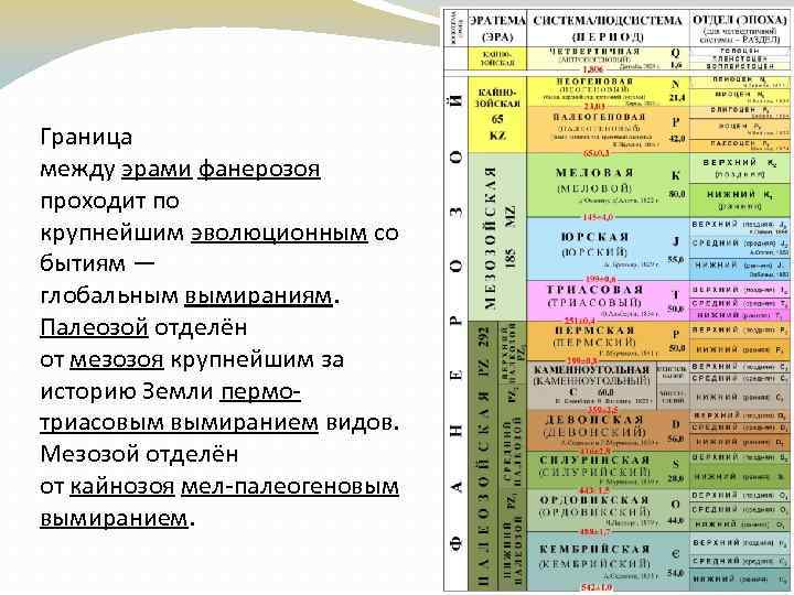 Граница между эрами фанерозоя проходит по крупнейшим эволюционным со бытиям — глобальным вымираниям. Палеозой