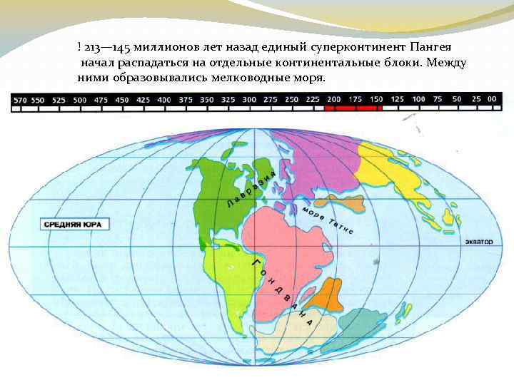 ! 213— 145 миллионов лет назад единый суперконтинент Пангея начал распадаться на отдельные континентальные