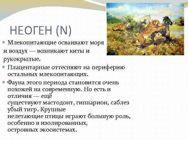 НЕОГЕН (N) Млекопитающие осваивают моря и воздух — возникают киты и рукокрылые. Плацентарные оттесняют