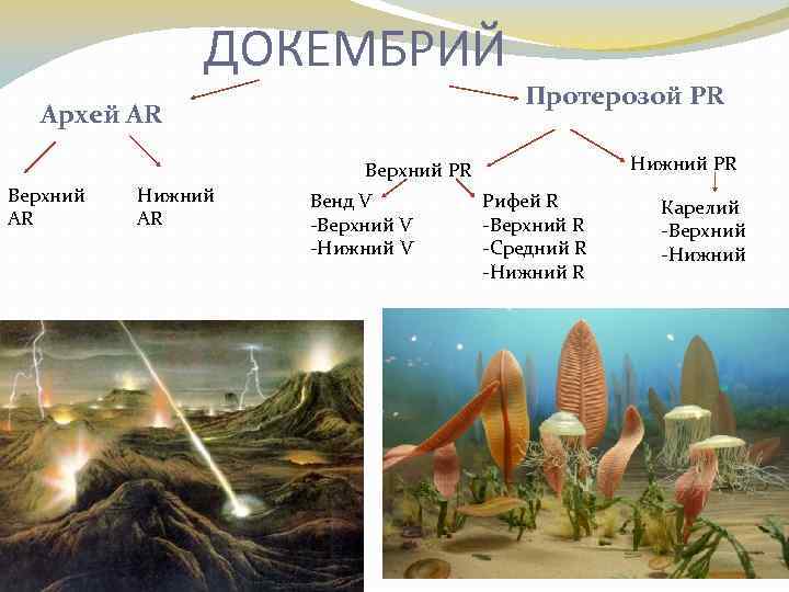 ДОКЕМБРИЙ Архей AR Протерозой PR Нижний PR Верхний AR Нижний AR Венд V -Верхний