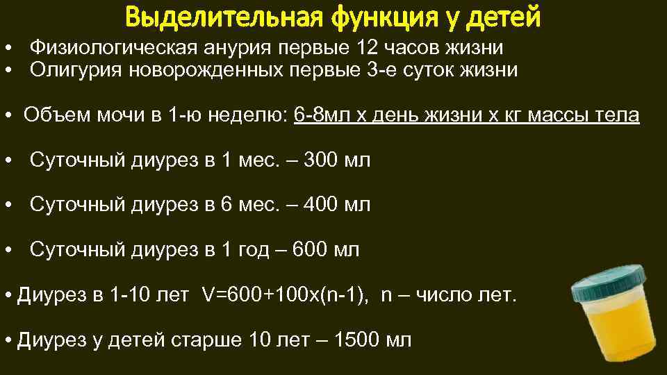 Выделительная функция у детей • Физиологическая анурия первые 12 часов жизни • Олигурия новорожденных