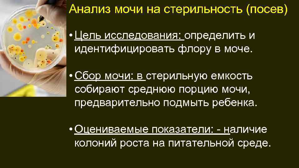 Анализ мочи на стерильность (посев) • Цель исследования: определить и идентифицировать флору в моче.