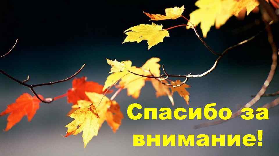 Спасибо за внимание! 