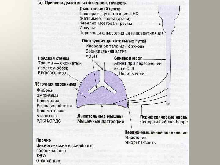 Трахеит сколько дней температура