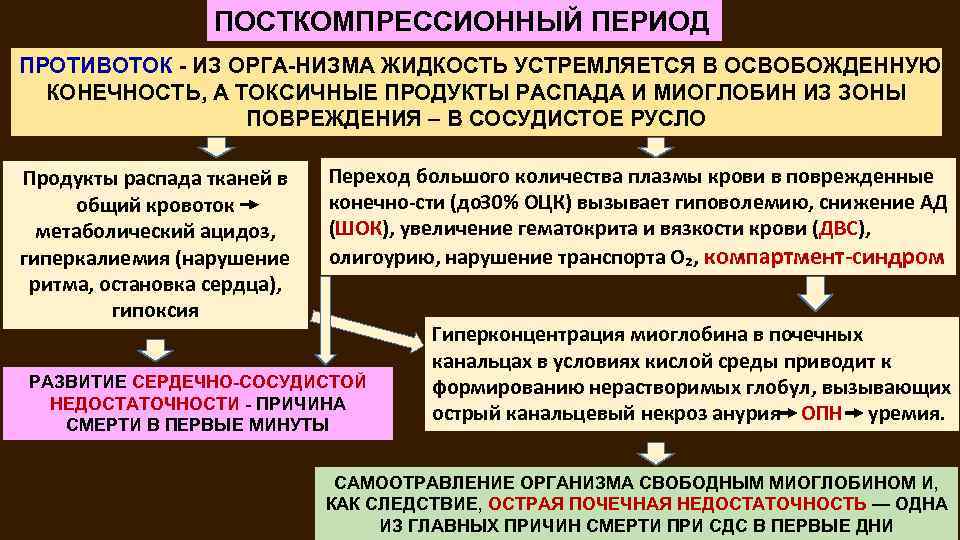 ПОСТКОМПРЕССИОННЫЙ ПЕРИОД ПРОТИВОТОК ИЗ ОРГА НИЗМА ЖИДКОСТЬ УСТРЕМЛЯЕТСЯ В ОСВОБОЖДЕННУЮ КОНЕЧНОСТЬ, А ТОКСИЧНЫЕ ПРОДУКТЫ