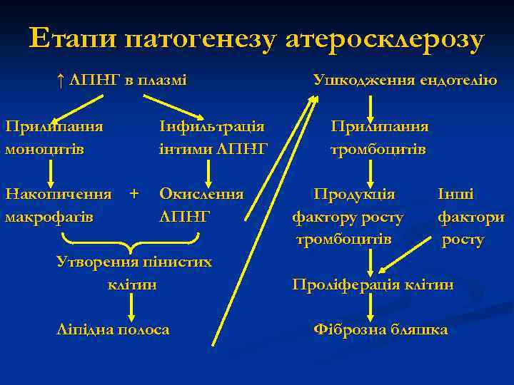 Етапи патогенезу атеросклерозу ↑ ЛПНГ в плазмі Прилипання моноцитів Інфильтрація інтими ЛПНГ Накопичення +