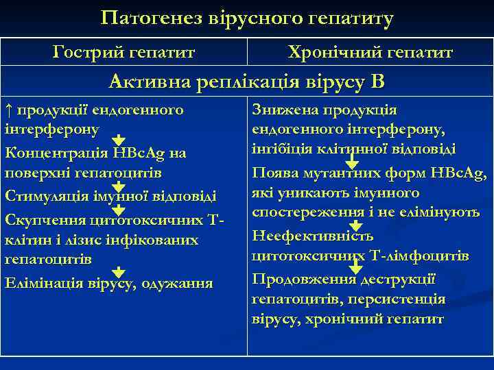 Патогенез вірусного гепатиту Гострий гепатит Хронічний гепатит Активна реплікація вірусу В ↑ продукції ендогенного