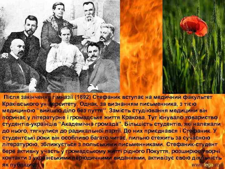 Після закінчення гімназії (1892) Стефаник вступає на медичний факультет Краківського університету. Однак, за визнанням