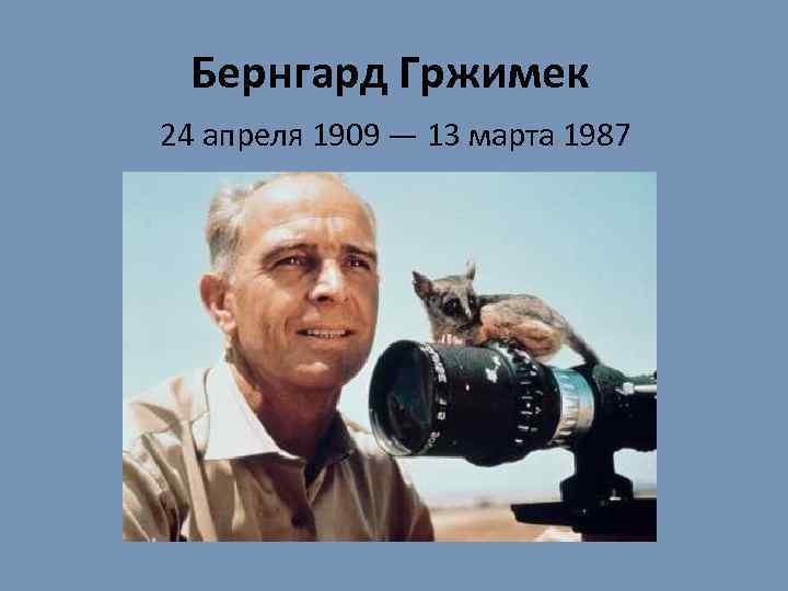 Бернгард Гржимек 24 апреля 1909 — 13 марта 1987 