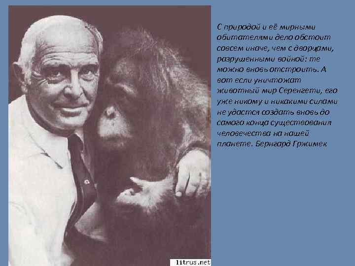 С природой и её мирными обитателями дело обстоит совсем иначе, чем с дворцами, разрушенными