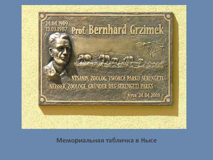 Мемориальная табличка в Нысе 