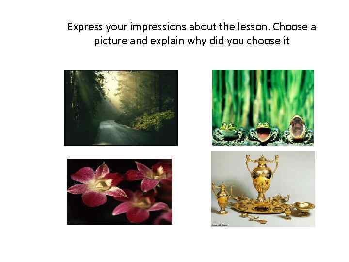 Express your impressions about the lesson. Choose a picture and explain why did you