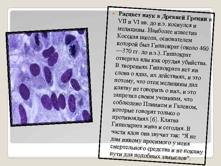 Расцвет наук в Др евней Греции в VII и VI вв. до н. э.
