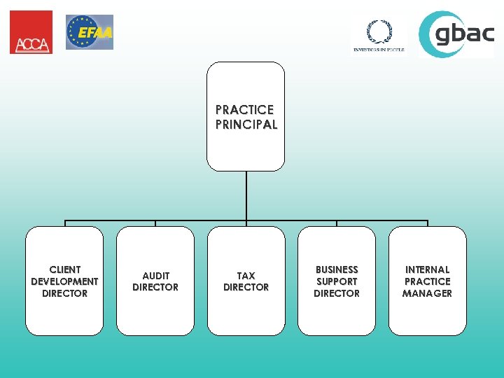 PRACTICE PRINCIPAL CLIENT DEVELOPMENT DIRECTOR AUDIT DIRECTOR TAX DIRECTOR BUSINESS SUPPORT DIRECTOR INTERNAL PRACTICE