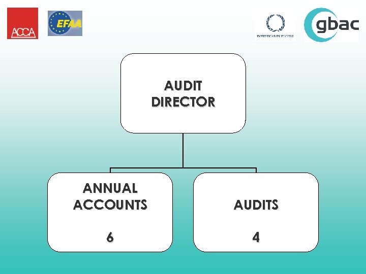 AUDIT DIRECTOR ANNUAL ACCOUNTS AUDITS 6 4 