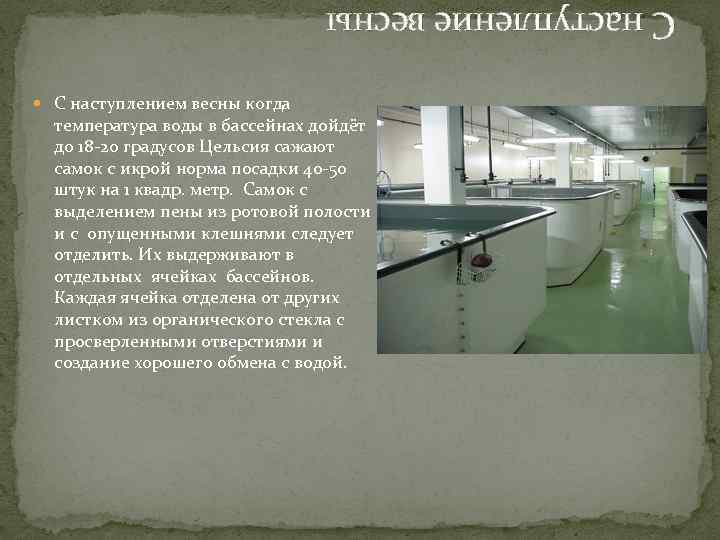 С наступление весны С наступлением весны когда температура воды в бассейнах дойдёт до 18