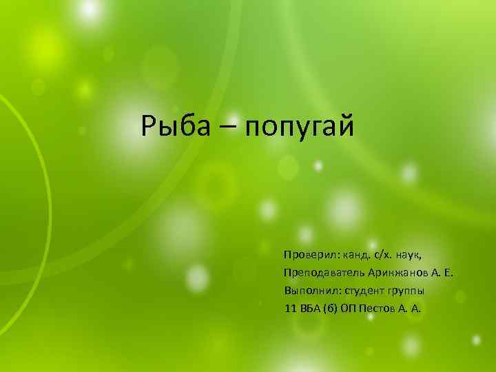 Рыба – попугай Проверил: канд. с/х. наук, Преподаватель Аринжанов А. Е. Выполнил: студент группы