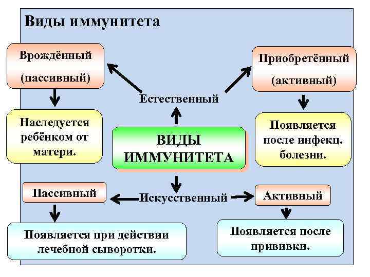 Виды иммунитета Врождённый Приобретённый (пассивный) (активный) Естественный Наследуется ребёнком от матери. Пассивный ВИДЫ ИММУНИТЕТА