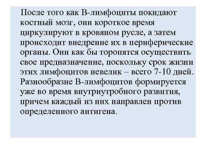 После того как В-лимфоциты покидают костный мозг, они короткое время циркулируют в кровяном русле,