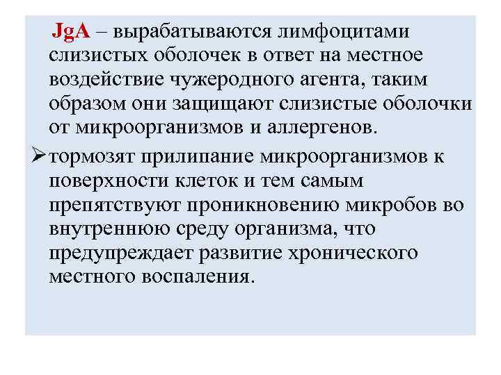 Jg. A – вырабатываются лимфоцитами слизистых оболочек в ответ на местное воздействие чужеродного агента,