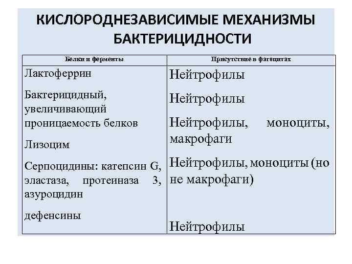 КИСЛОРОДНЕЗАВИСИМЫЕ МЕХАНИЗМЫ БАКТЕРИЦИДНОСТИ Белки и ферменты Присутствие в фагоцитах Лактоферрин Нейтрофилы Бактерицидный, увеличивающий проницаемость