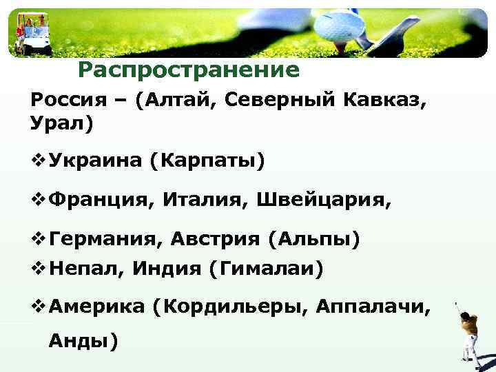 Распространение Россия – (Алтай, Северный Кавказ, Урал) v Украина (Карпаты) v Франция, Италия, Швейцария,