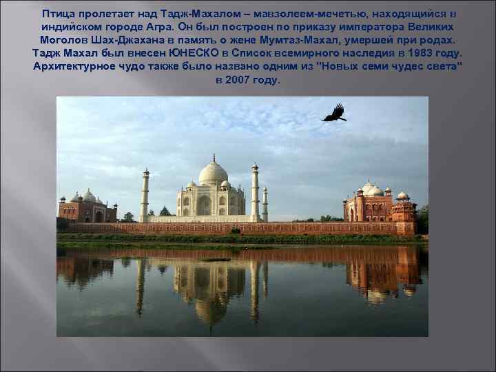 Птица пролетает над Тадж-Махалом – мавзолеем-мечетью, находящийся в индийском городе Агра. Он был построен