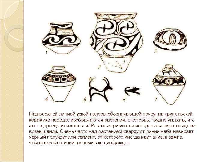 Над верхней линией узкой полосы, обозначающей почву, на трипольской керамике нередко изображаются растения, в