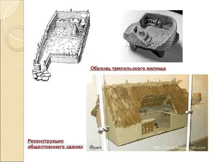 Образец трипольского жилища Реконструкция общественного здания 